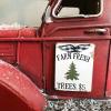 🎄🎅Christmas Presale - 49% OFF🚚🎄 Handmade Red Farm Truck Christmas Decor（ BUY 2 GET FREE SHIPPING)