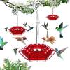 🐝Halloween Limited Time Offer: Hummingbird Feeder with Perch and Built-in Ant Traps✔️97.5% of customers purchased 2 or more. 😍