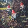 🔥Funny Army Garden Gnome Statue