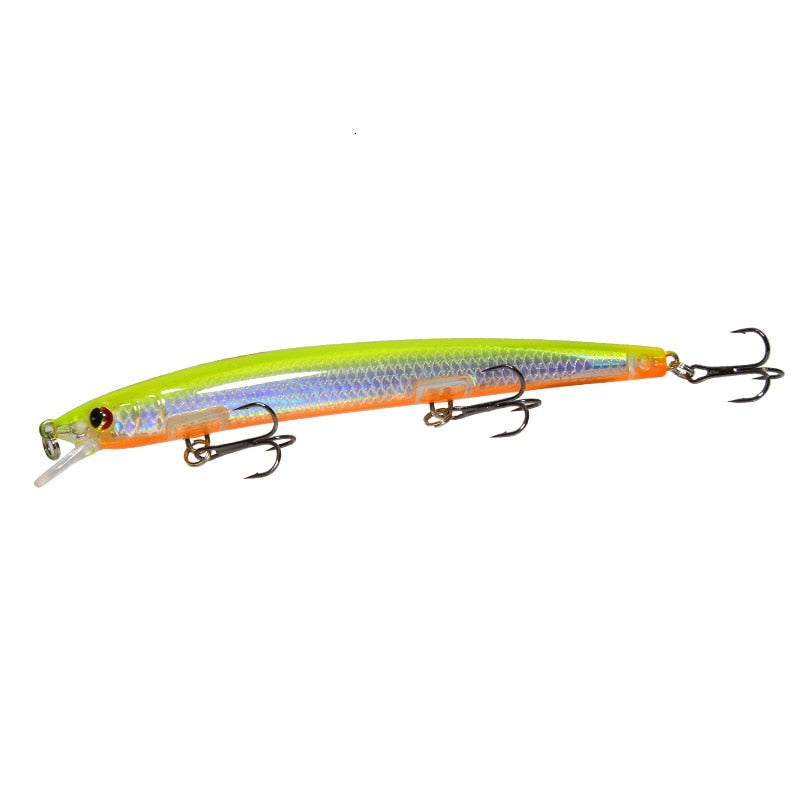Minnow Fishing Lure