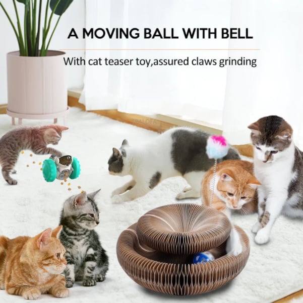 Magic Organ Cat Scratching Board-Comes with a toy bell ball