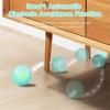 🔥Government subsidies - Enjoy 49% off 🔥2 in 1 Simulated Interactive hunting cat toy