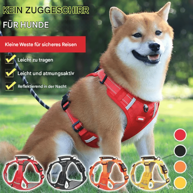 🔥Letzter Tag 49% Rabatt🐕Mehrzweck Funktion Brustgurt Weste für Haustiere