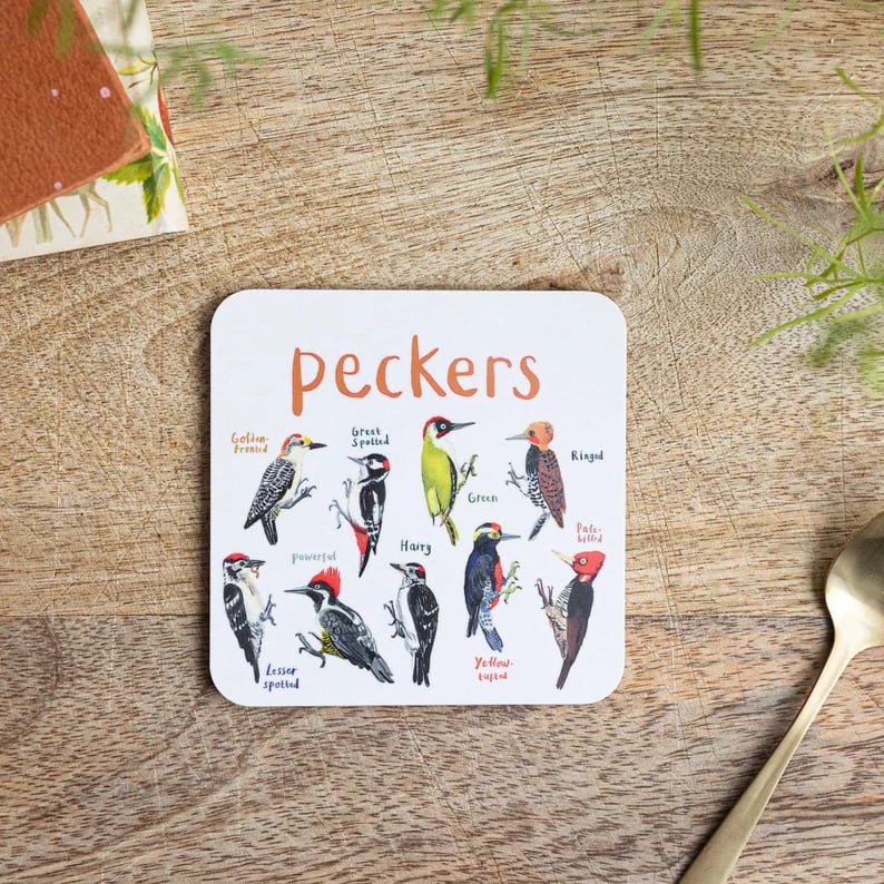 (🎄NEW YEAR HOT SALE-50% OFF)🐦Set of 6 Bird Pun Coasters