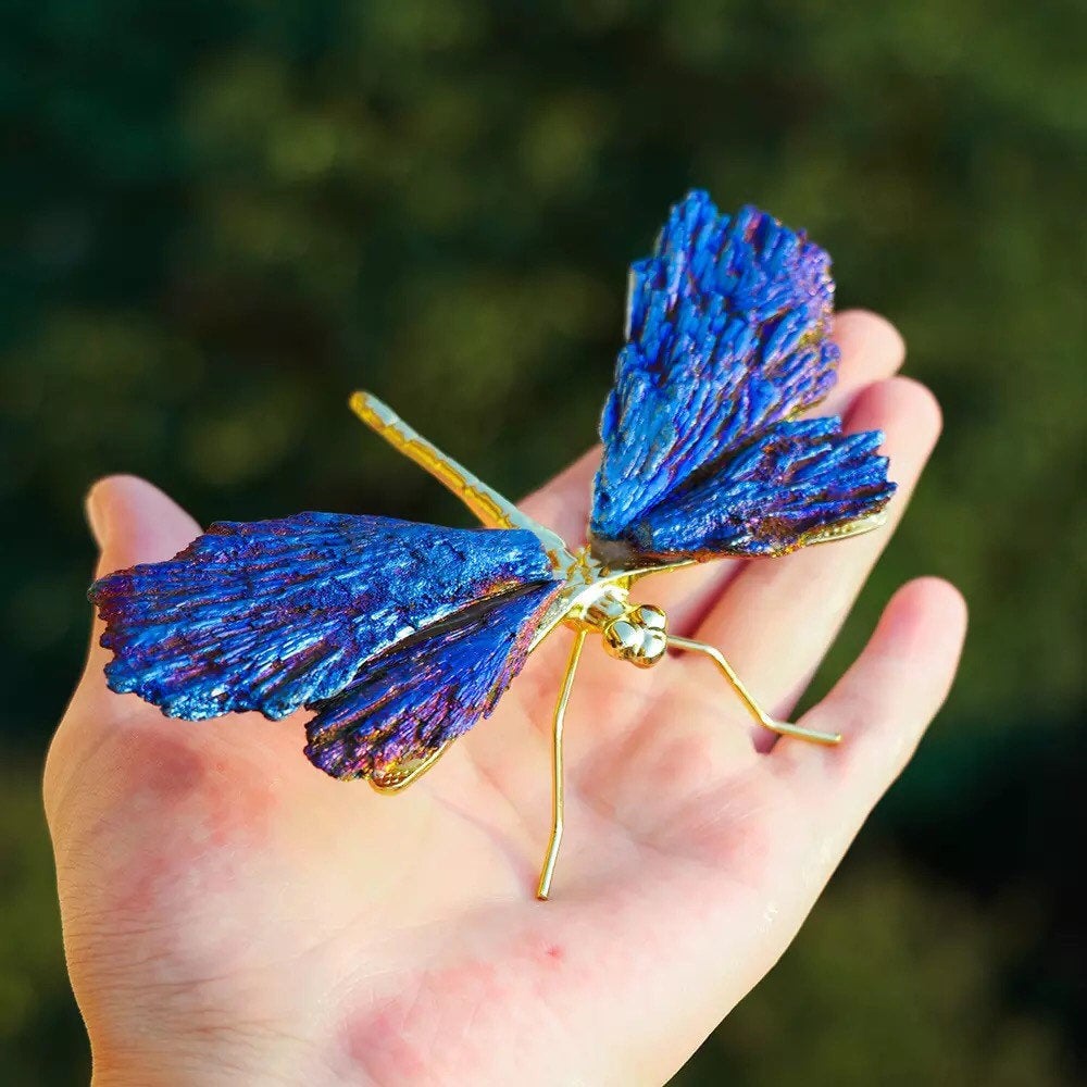 🔥Last Day Promotion 48% OFF-🦋-AURA TOURMALINE KYANITE DRAGONFLY💜