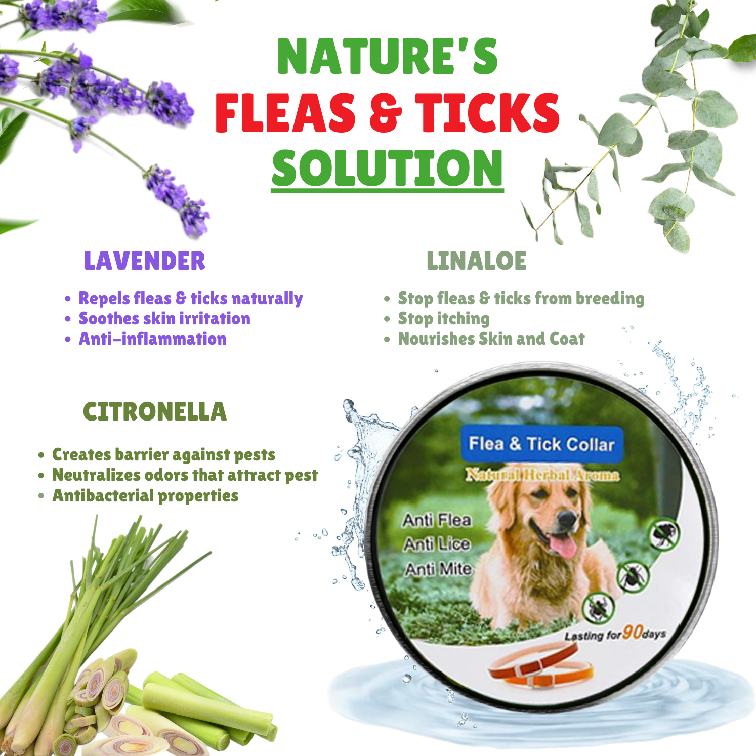 Anti-Flea, Tick, & Mosquito Collar