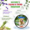 Anti-Flea, Tick, & Mosquito Collar