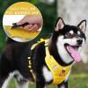 🐶 No Pull Dog Harness for Pets Easy to Put on & Take Off