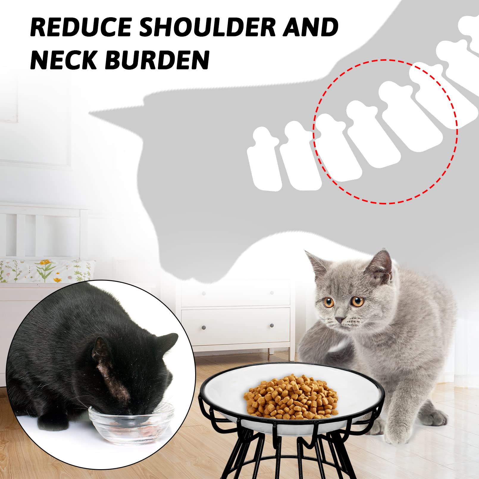 💲Mother's Day hot sale💲Whisker-Friendly Anti-Vomit Cat Plate 🥣BUY 2 GET EXTRA 5% OFF&FREE SHIPPING