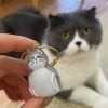 Pet Fur Memory Capsule Keychain