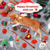 🐱2024 Christmas Countdown Cat Toys Advent Calendar