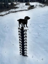 Iron Art Snow Gauge