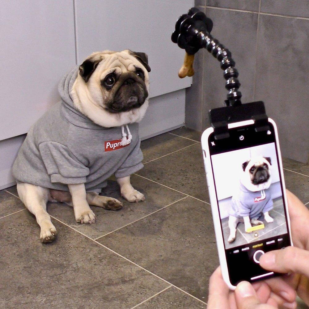 (Early Christmas Sale- 48% OFF) Pet Selfie Stick