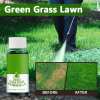 🔥Green Grass& Pest Control Lawn Spray System