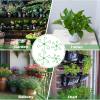Last Day Promotion 70% OFF - 🌿Plant Stem Support Set