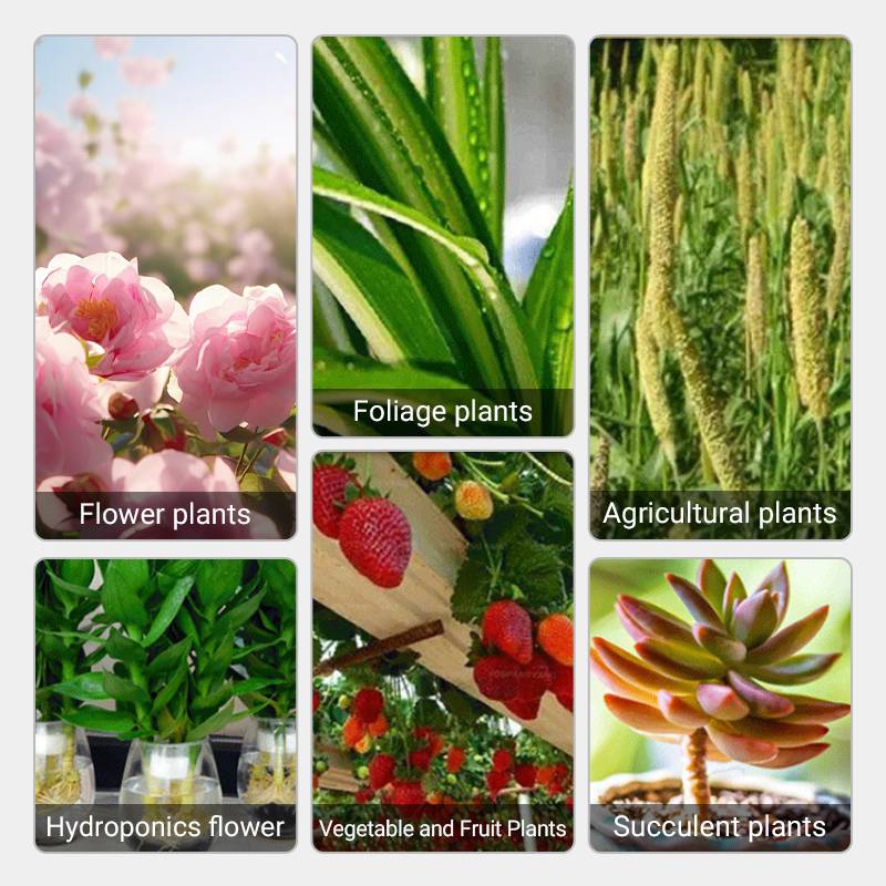 Last Day 70% OFF🔥Fast-Acting Nutrient Solution for Plants