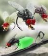 🔥Last Day 50% OFF🔥 Bionic Fly Fishing Bait(20PCS)