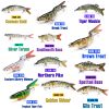 🎣 Summer Sale-50% OFF🐠FishWishRod™- Lifelike Swimbait