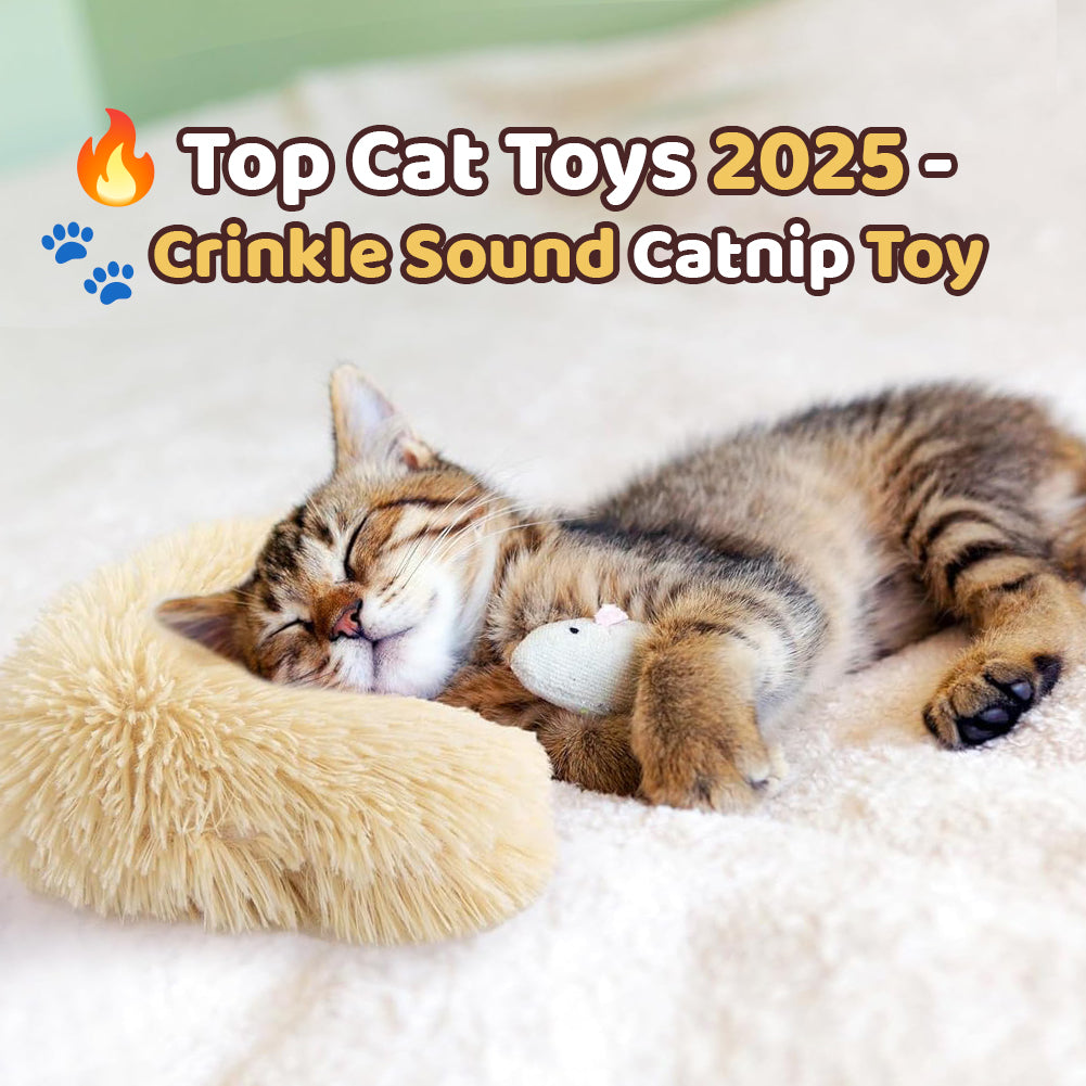 🔥Last Day 70% OFF🐾Crinkle Sound Catnip Toy-Buy 2 Get 1 Free