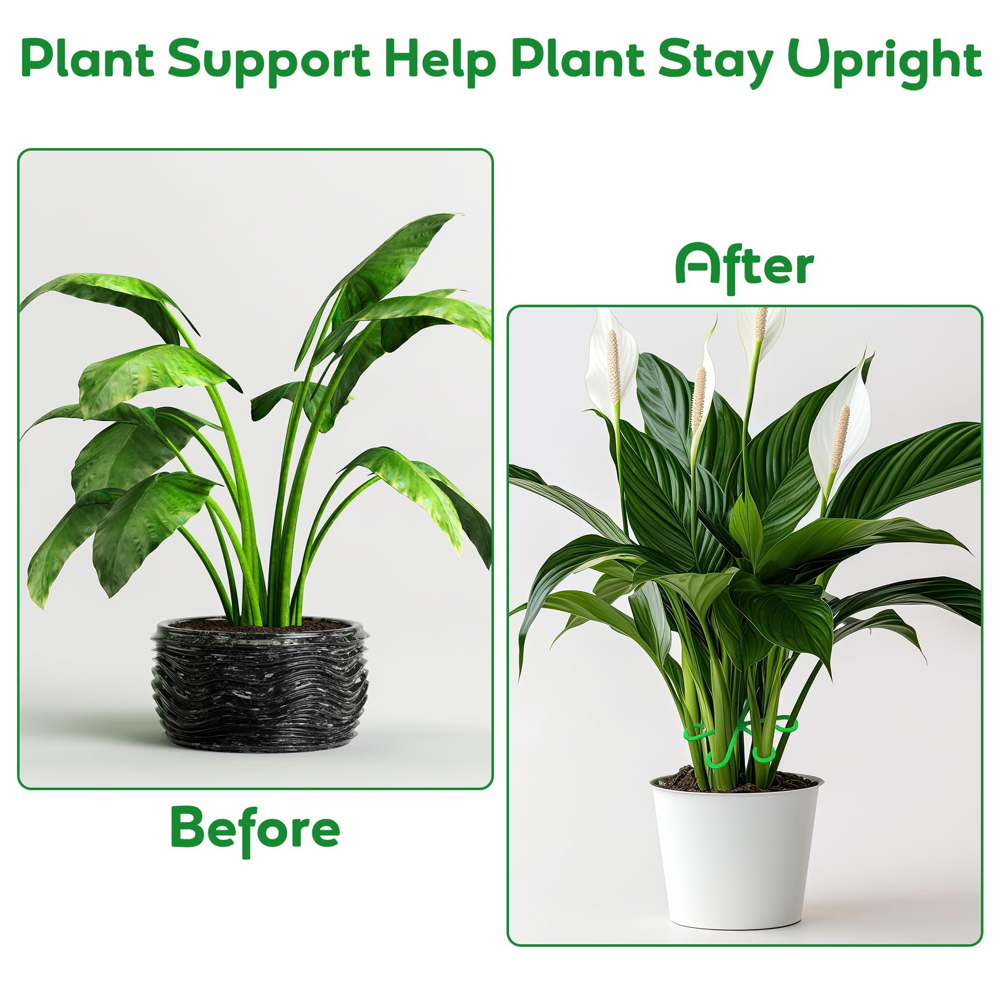 Last Day Promotion 70% OFF - 🌿Plant Stem Support Set