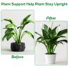 Last Day Promotion 70% OFF - 🌿Plant Stem Support Set