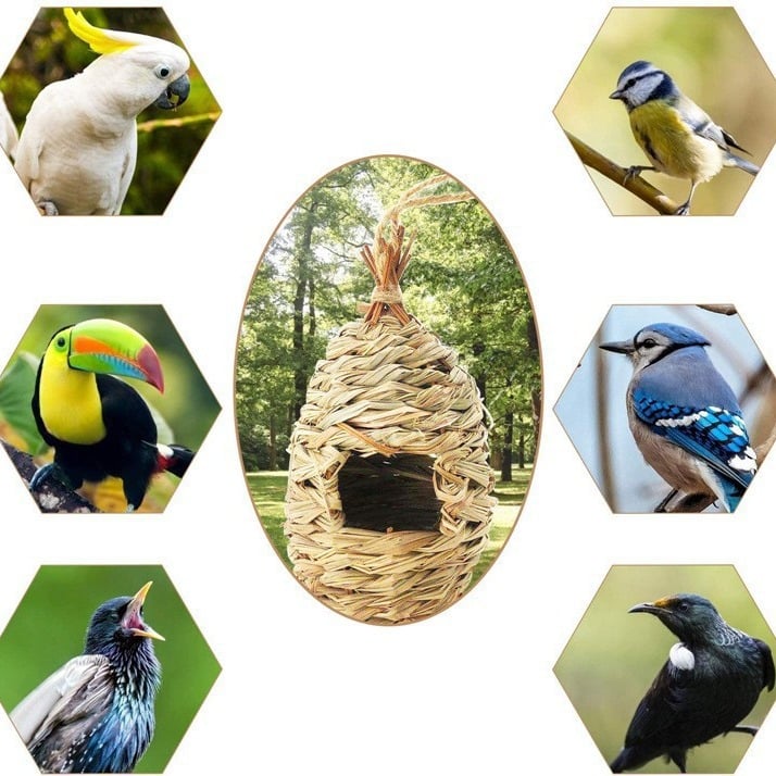 🐦🐣Early Spring Sale-Handmade Outdoor Spherical Bird Shelter