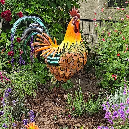 ⚡Last DAY 49% OFF - Iron rooster-Amazing detail and beautiful colours-Lawn & garden art