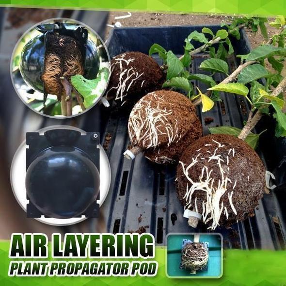 🌲Early Christmas Sale 50% Off🌲Plant Root Growing Box , Buy 5 Get 3 Free & Free Shipping!