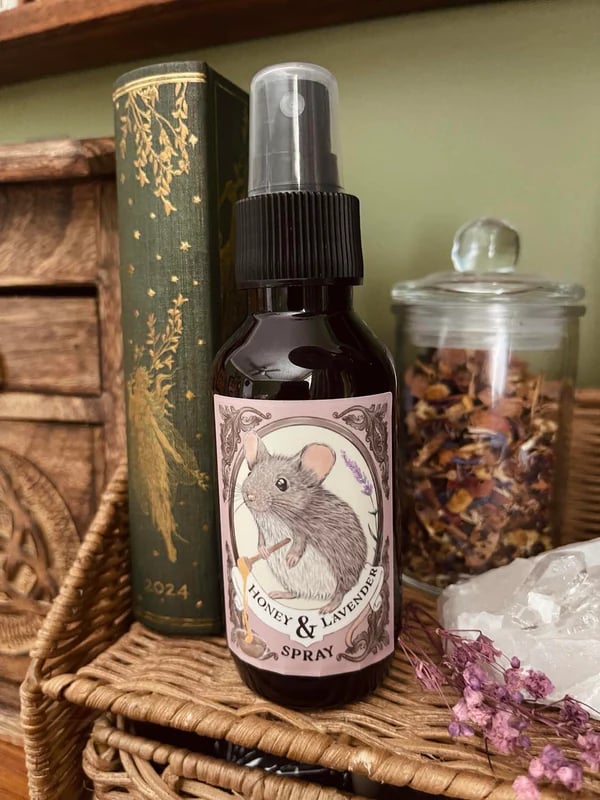 ⏰Limited-Time Offer🧙📦️Mystery Witch Box🎁(💥$100 Value!)