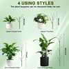 ⏰LAST DAY SALE 50% OFF💥5 pack Plant Support Stakes⚡Buy 2 Free Shipping