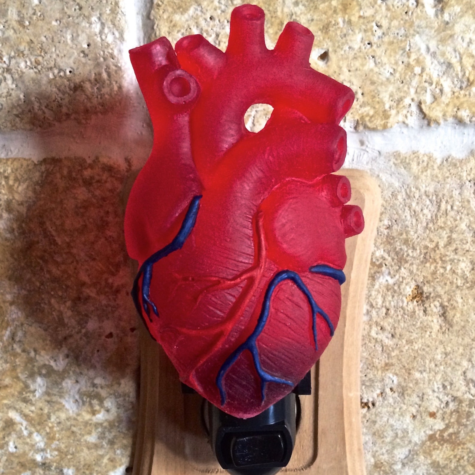 Anatomical Heart Nightlight