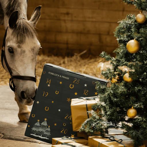 🔥Last Day Promotion 48% OFF-🎁-Horse Advent Calendar 2024🐎Free Shipping