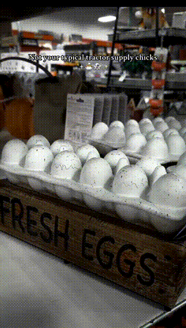 🔥Last Day 50% OFF - Red Shed Animated Deviled Eggs🥚