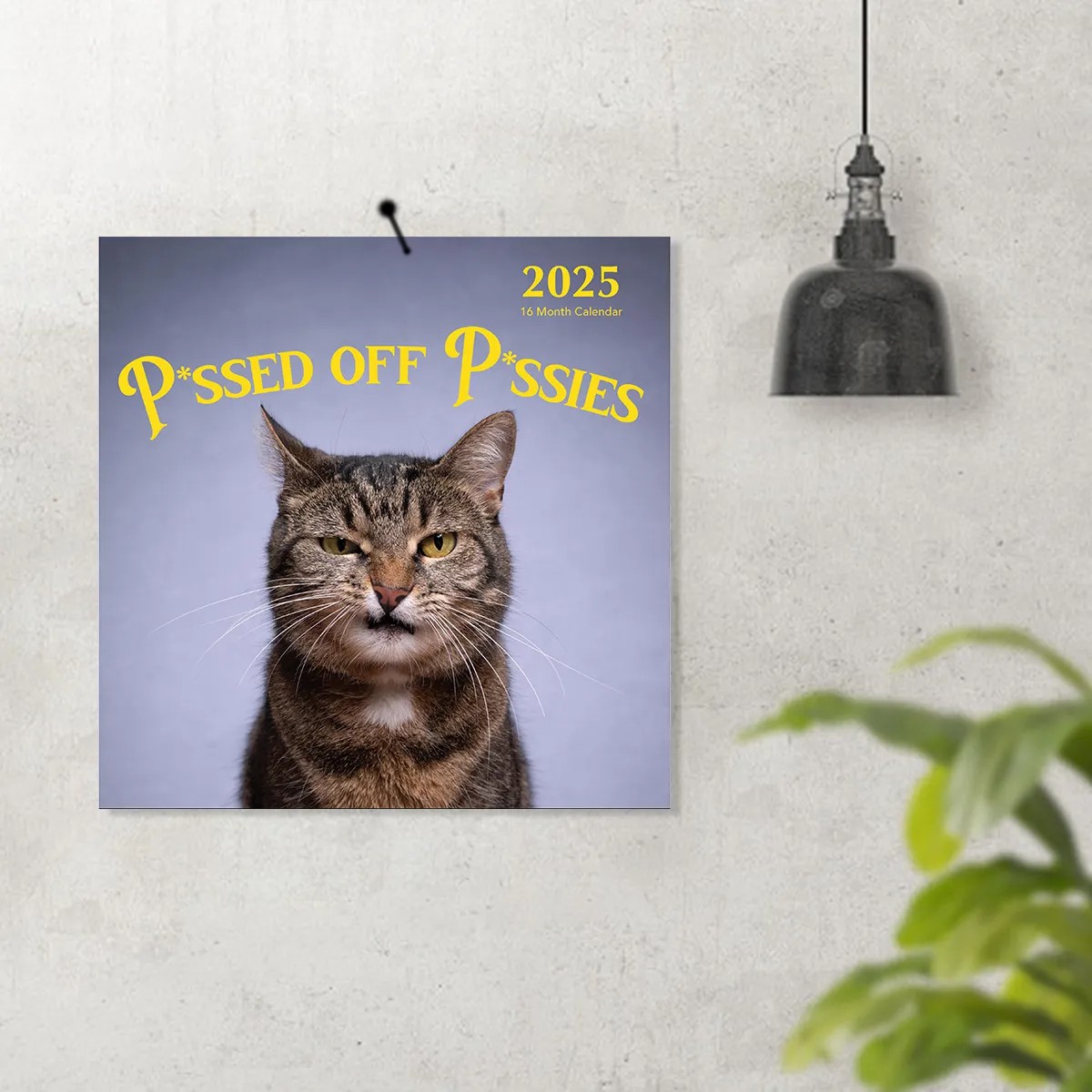 😾2025 P*ssed off P*ssies Angry Cats Calendar