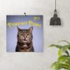 😾2025 P*ssed off P*ssies Angry Cats Calendar