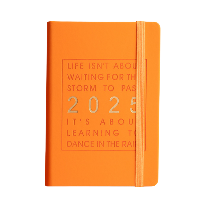 🔥2025 One Day One Page Daily Planner – Your Ultimate Gift Calendar🔥Buy 2 Free Shipping