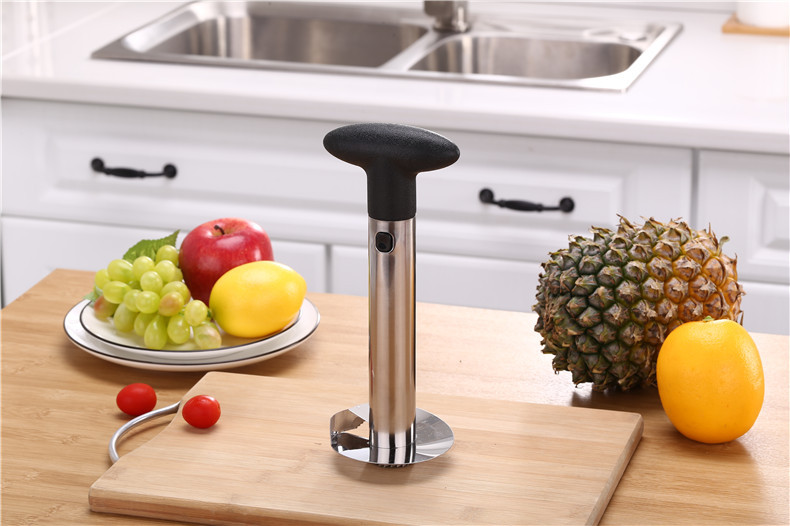 🎅(Early Xmas Sale - Save 50% OFF) Stainless Steel Pineapple Corer - Buy 2 Free Shipping