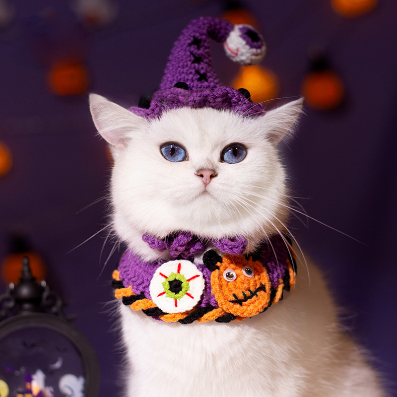 Whimsical Pumpkin & Purple Elegance Halloween Pet Hat