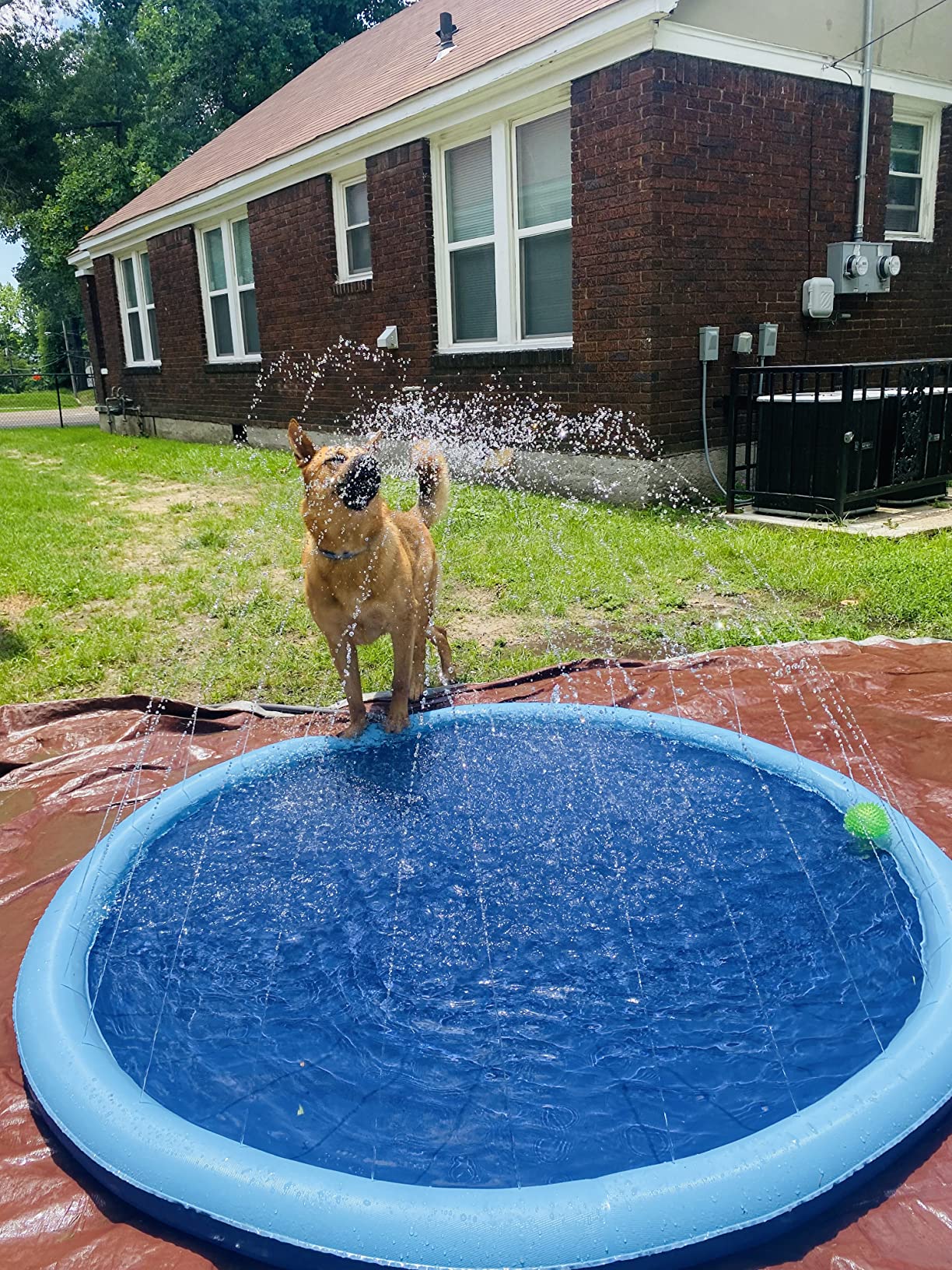 🔥Last Day 60% OFF - Dog Splash Sprinkler Pad