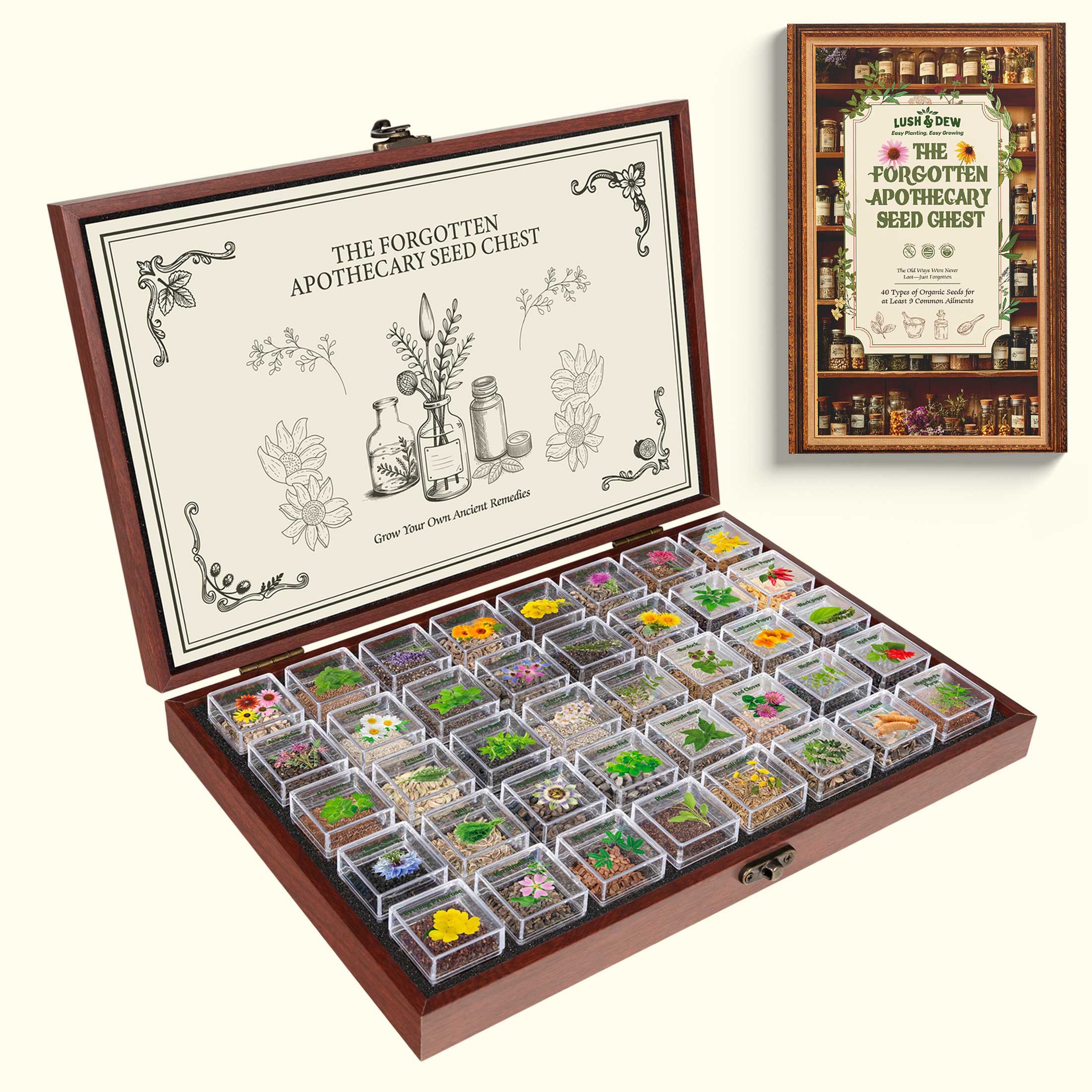 🔥Last Day 57% OFF🔥🍃The Forgotten Apothecary Seed Chest - 40 Varieties of Medicinal Herb Seeds