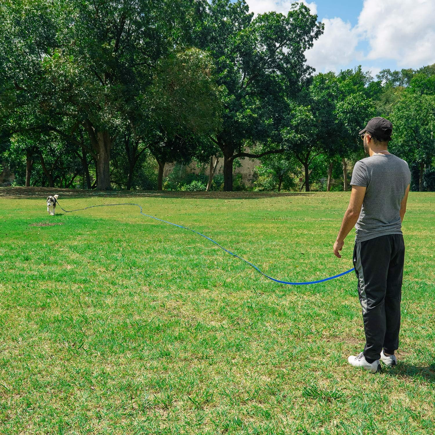 Hi Kiss Dog/Puppy Obedience Recall Training Agility Lead - 15ft 20ft 30ft 50ft 100ft Training Leash - Great for Play, Camping, or Backyard - Black 30ft