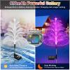 (🎅Early Xmas Offer 1000pcs 50% OFF)🔥 7 Color Changing Christmas Solar Lights🎄