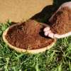 (🔥Last Day Promotion 50% OFF) Organic Coconut Coir for Plants - Buy 2 Get 1 Free