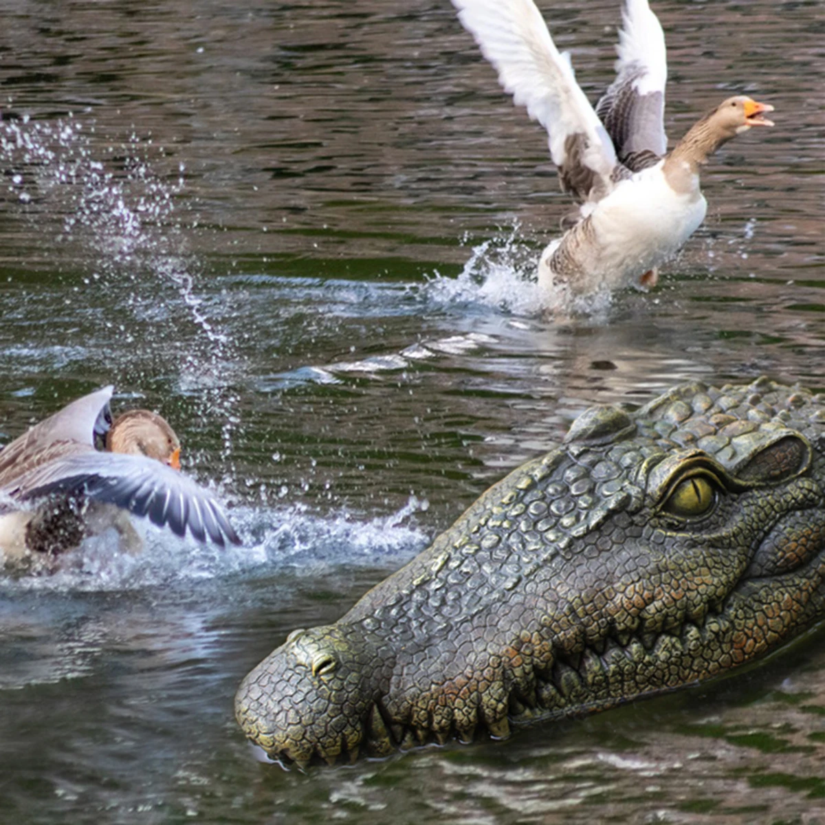 🐊Floating Alligator Head Pool Accessories