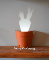 Light Projections Plant Pot