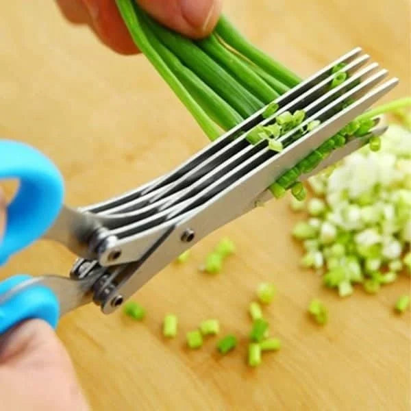 (🎄Christmas Promotion--48%OFF)Multi-Blade Herb Scissors(Buy 2 get 1 Free)