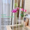 🔥Last Day Promotion 50% OFF - 🔥Acrylic Book Vase for Flowers(BUY 2 FREE SHIPPING NOW)