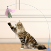 💥LAST DAY SALE 50% OFF💥Interactive Cat Toy Set