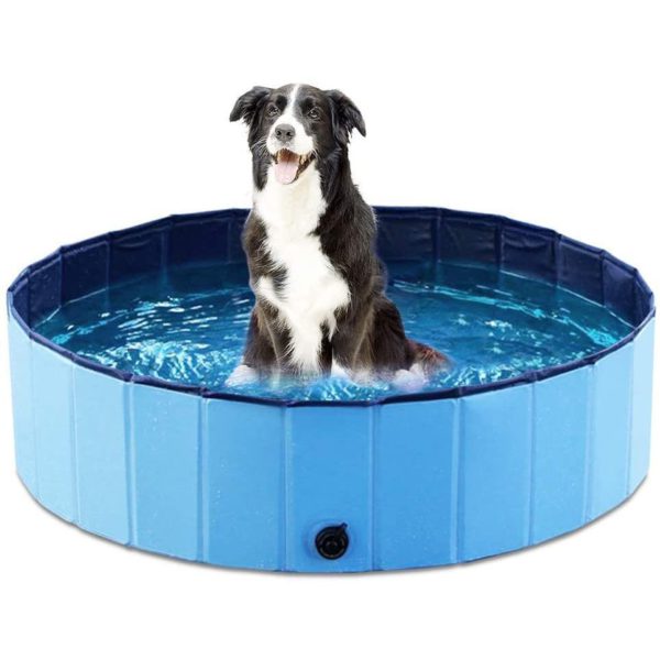 Foldable Pet Bath Pool Bathing Tub Kiddie Pool for Dogs Cats and Kids, Blue/Red, S/M/L/L+