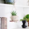 🌼 Swing Smile Face Hanging Flower Head Planters Pot